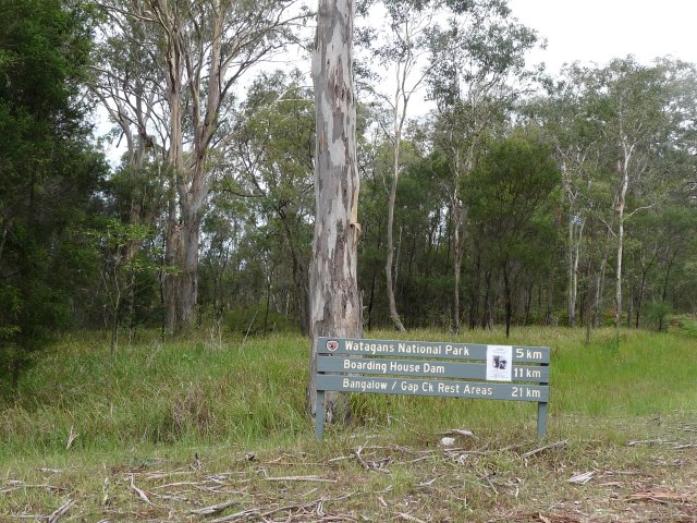 Watagans National Park near Wallis Creek 2013